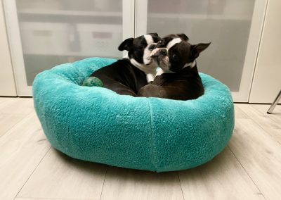 BAGEL kutyaágy L méret CosmopolitanPets