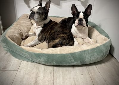 classic modell kutyaágy fekhely cosmopolitanpets