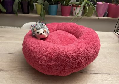 BAGEL kutyaágy S méret CosmopolitanPets