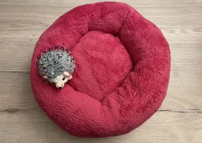 BAGEL kutyaágy S méret CosmopolitanPets