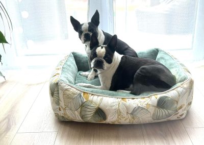 classic modell kutyaágy fekhely cosmopolitanpets