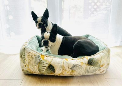 classic modell kutyaágy fekhely cosmopolitanpets