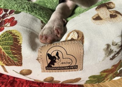 classic modell kutyaágy fekhely cosmopolitanpets