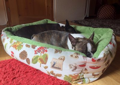 classic modell kutyaágy fekhely cosmopolitanpets