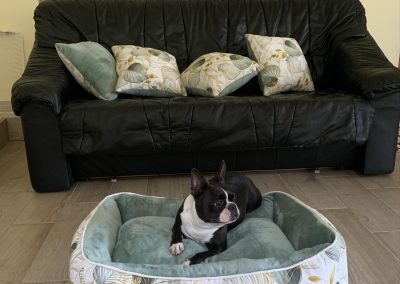 classic modell kutyaágy fekhely cosmopolitanpets
