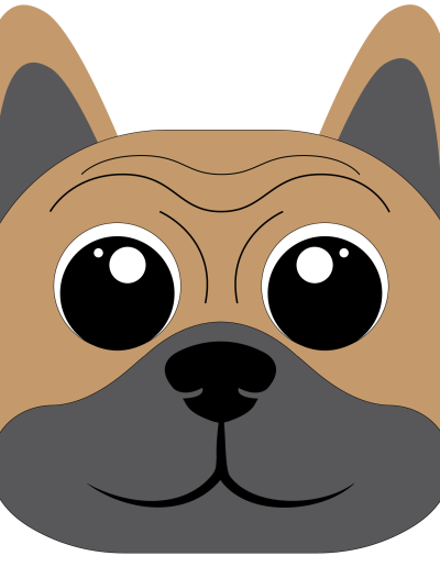 bostonpárna boston terrier párna kutyapárna kutyáspárna cosmopolitanpets